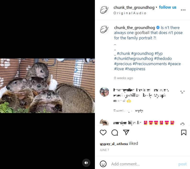 赤ちゃんが誕生（画像は『Chunk The Groundhog　2022年6月7日付Instagram「Isn’t there always one goofball」』のスクリーンショット）