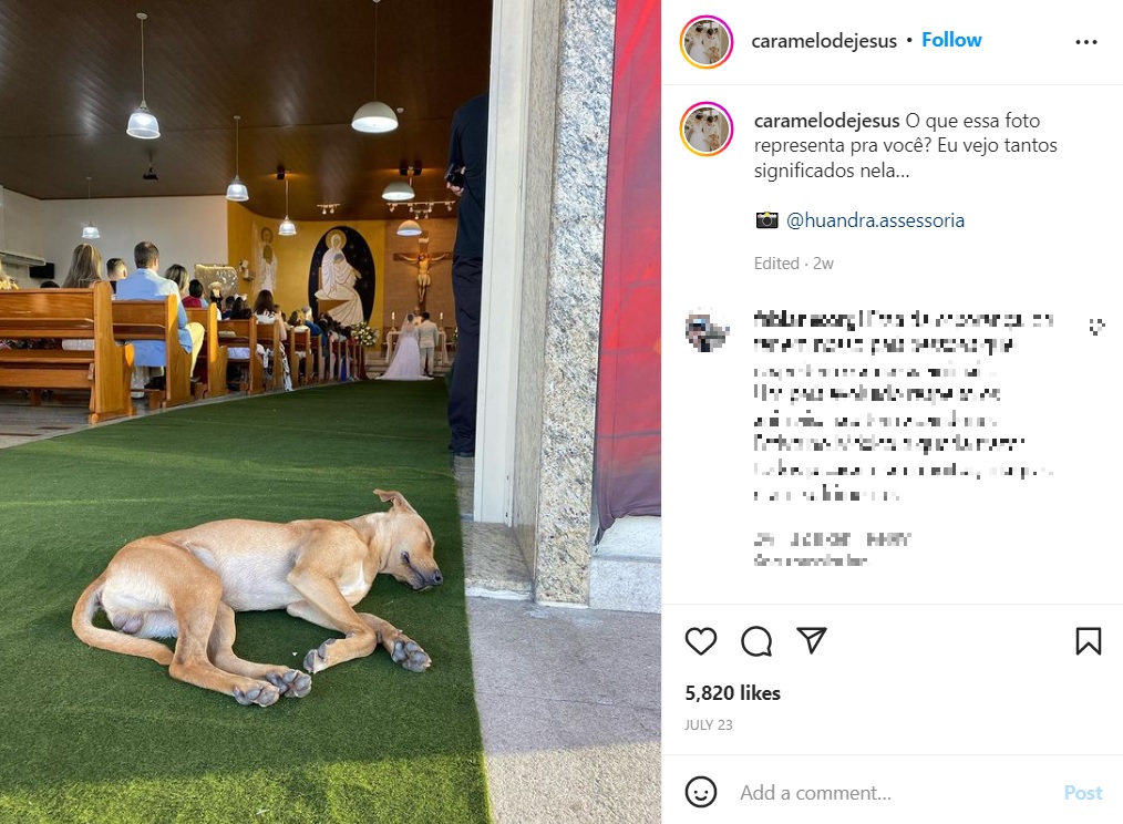 挙式中、教会の入り口に寝そべる野良犬（画像は『Caramelo de Jesus　2022年7月23日付Instagram「O que essa foto representa pra você?」』のスクリーンショット）