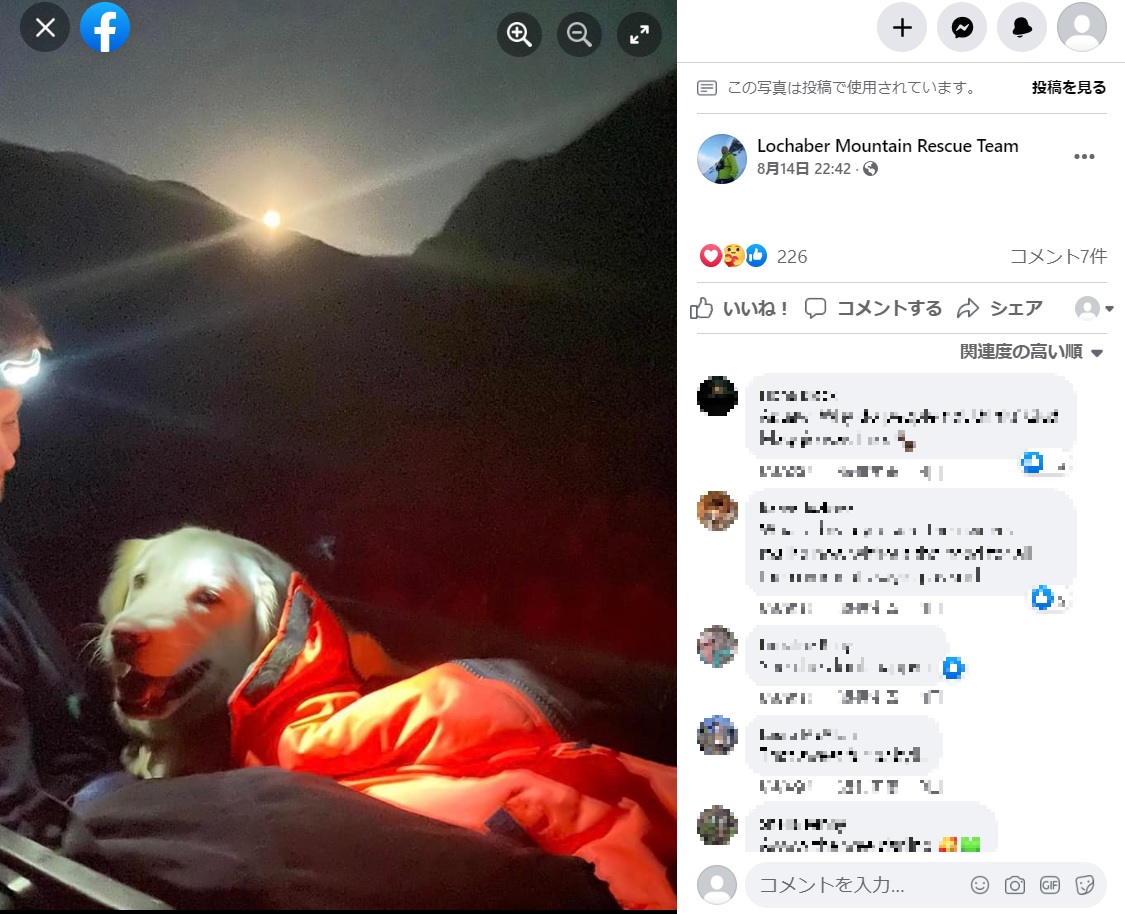 担架に乗せられ山岳救助隊によって運ばれる犬（画像は『Lochaber Mountain Rescue Team　2022年8月14日付Facebook「With everyone out enjoying the scorching weather across Lochaber yesterday」』のスクリーンショット）