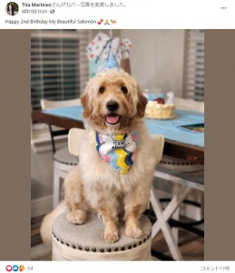 2歳の誕生日を迎えたサロモン（画像は『Tita Martinez　2022年8月16日付Facebook「Happy 2nd Birthday My Beautiful Salomon」』のスクリーンショット）