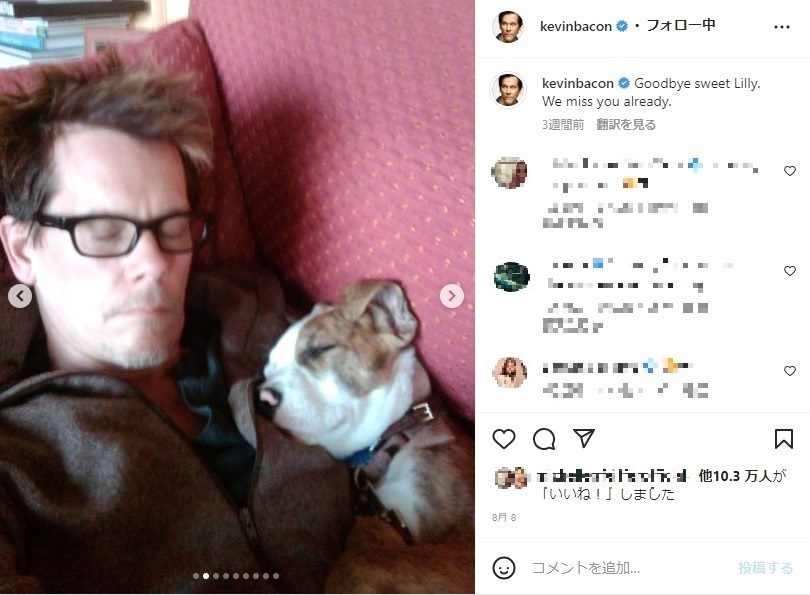 最愛の愛犬“リリー”を亡くしたケヴィン・ベーコン（画像は『Kevin Bacon　2022年8月7日付Instagram「Goodbye sweet Lilly.」のスクリーンショット）