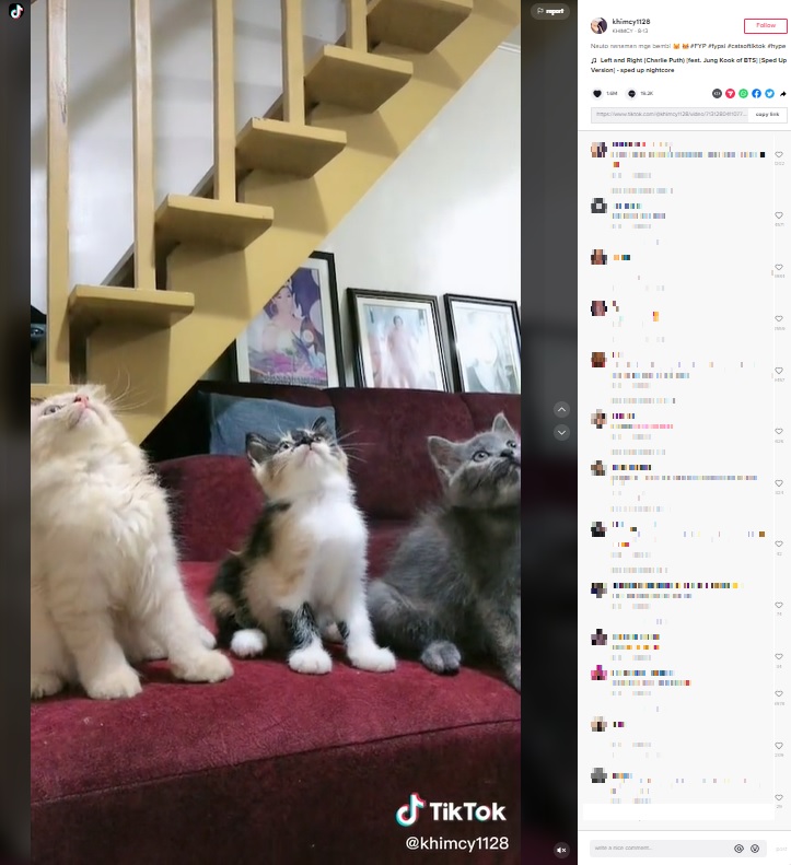 動きもピッタリ合っている3匹の猫（画像は『KHIMCY　2022年8月13日付TikTok「Nauto nanaman mga bembi」』のスクリーンショット）