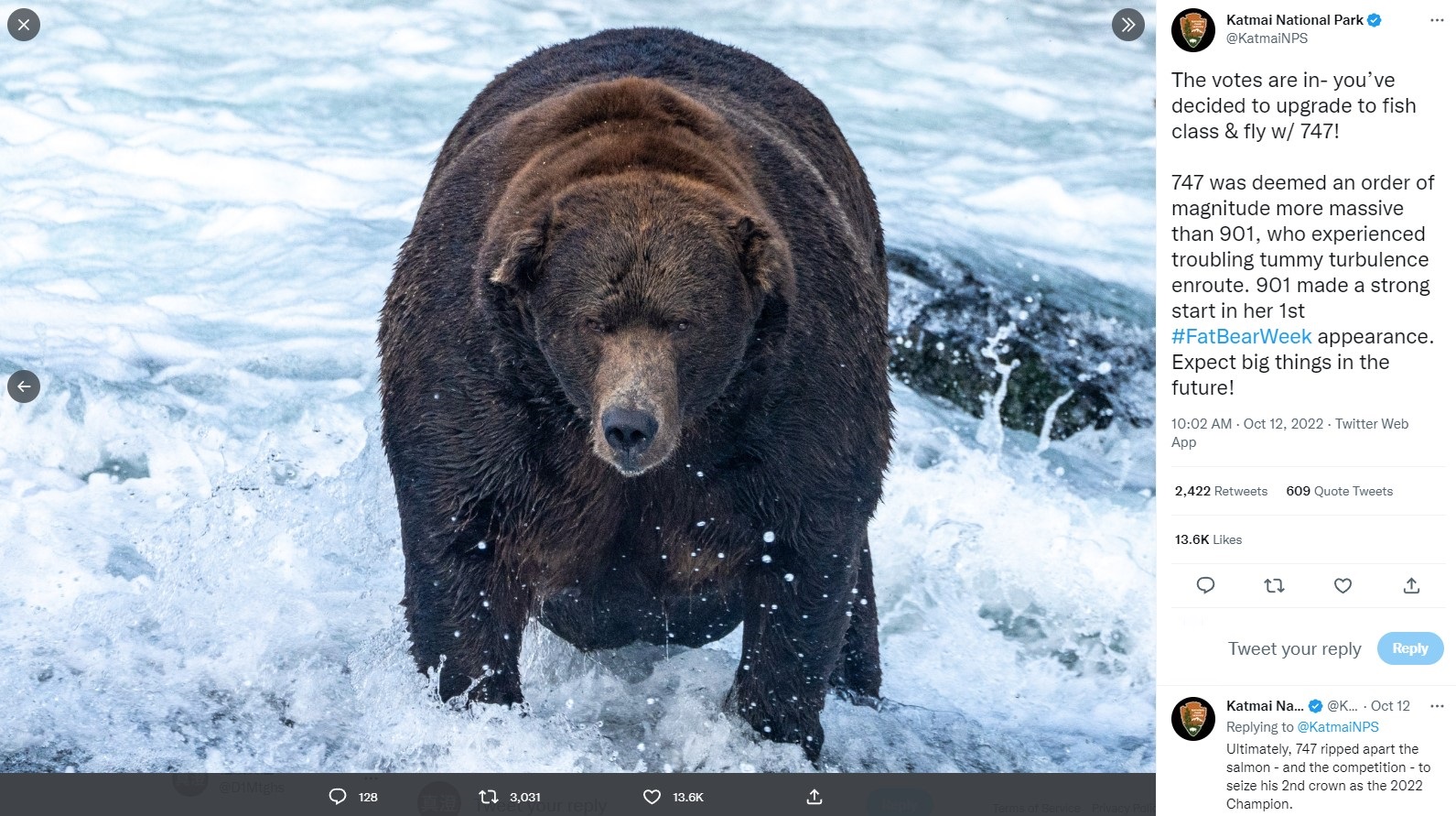 優勝したクマの“747”（画像は『Katmai National Park　2022年10月12日付Twitter「The votes are in- you’ve decided to upgrade to fish class ＆ fly w/ 747!」（ALT）』のスクリーンショット）