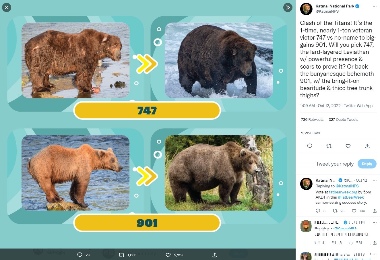 冬眠前のビフォーアフター（画像は『Katmai National Park　2022年10月11日付Twitter「Clash of the Titans!」（ALT）』のスクリーンショット）