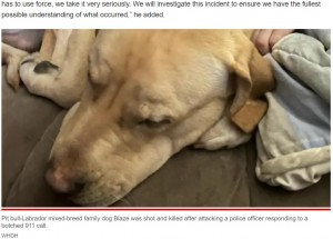 攻撃的な行動について獣医に診てもらっていたブレイズ（画像は『New York Post　2022年10月6日付「Cop kills family dog while responding to child’s accidental 911 call」（WHDH）』のスクリーンショット）