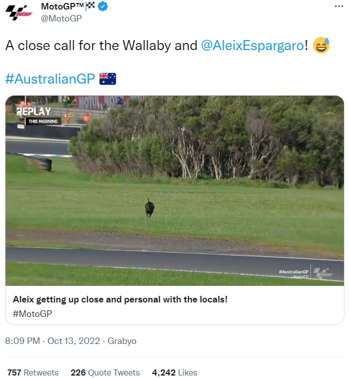 バイクが迫るコースを横断するワラビー（画像は『MotoGP　2022年10月13日付Twitter「A close call for the Wallaby and ＠AleixEspargaro!」』のスクリーンショット）