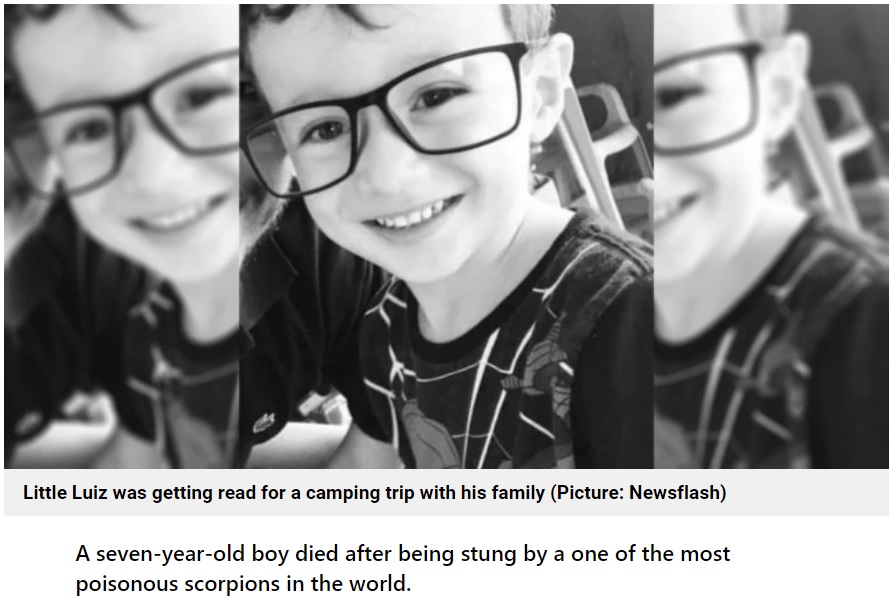 サソリに刺されて亡くなった7歳男児（画像は『Metro　2022年11月1日付「Boy suffers seven heart attacks and dies after being stung by scorpion」（Picture: Newsflash）』のスクリーンショット）