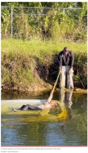 ロープで女性を救出する近隣住民の男性（画像は『New York Post　2022年11月1日付「Video captures paraglider save Florida woman after car plunged into canal」（Instagram / ＠cristianopiquet）』のスクリーンショット）