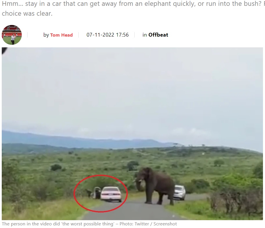 ゾウから逃げようと車を降りた男性（画像は『The South African　2022年11月7日付「WATCH: Man FLEES car on game drive - after elephant encounter」（Photo: Twitter / Screenshot）』のスクリーンショット）