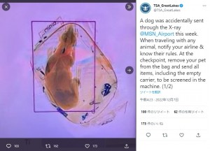 X線検査装置が捉えた犬の姿（画像は『TSA_GreatLakes　2022年12月6日付Twitter「A dog was accidentally sent through the X-ray ＠MSN_Airport this week.」』のスクリーンショット）