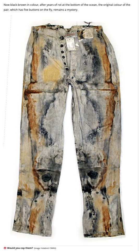 100年以上海の底に沈んでいたジーンズ（画像は『The Daily Star　2022年12月17日付「156-year-old rotting jeans salvaged in shipwreck sold at auction for more than ￡100k」（Image: Holabird / SWNS）』のスクリーンショット）