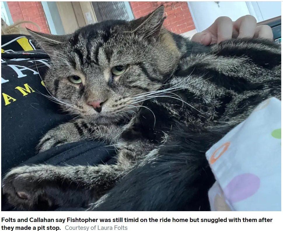 新たな飼い主に抱かれるフィッシュトファー（画像は『Insider　2022年11月27日付「A couple drove 2 hours to adopt a ‘depressed’ cat named Fishtopher after a tweet about him went viral. Now, they want to use his popularity to help other shelter pets.」（Courtesy of Laura Folts）』のスクリーンショット）