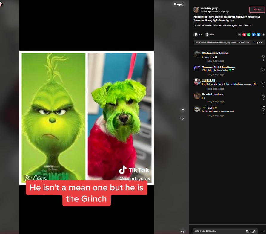 グリンチにそっくり？（画像は『Ashley Spielmann　2022年12月4日付TikTok「＃dogsoftiktok ＃grinchtiktok」』のスクリーンショット）