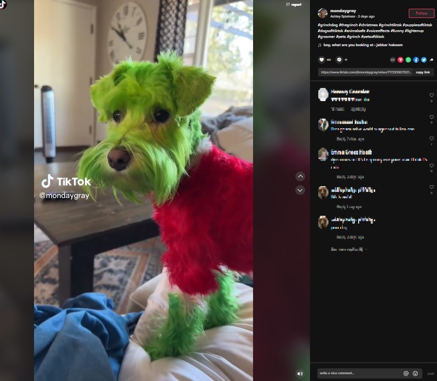 「ハッピー」な犬だというリゾー（画像は『Ashley Spielmann　2022年12月5日付TikTok「＃grinchdog ＃thegrinch」』のスクリーンショット）