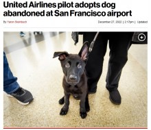 【海外発！Breaking News】入国できず空港で飼い主に捨てられた子犬　航空会社スタッフの懸命な働きかけで安楽死を逃れる（米）