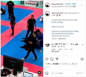 最終的にスタッフに連れていかれた犬（画像は『Dojo Ronin　2022年11月26日付Instagram「Cosas que pasan en Chile」』のスクリーンショット）