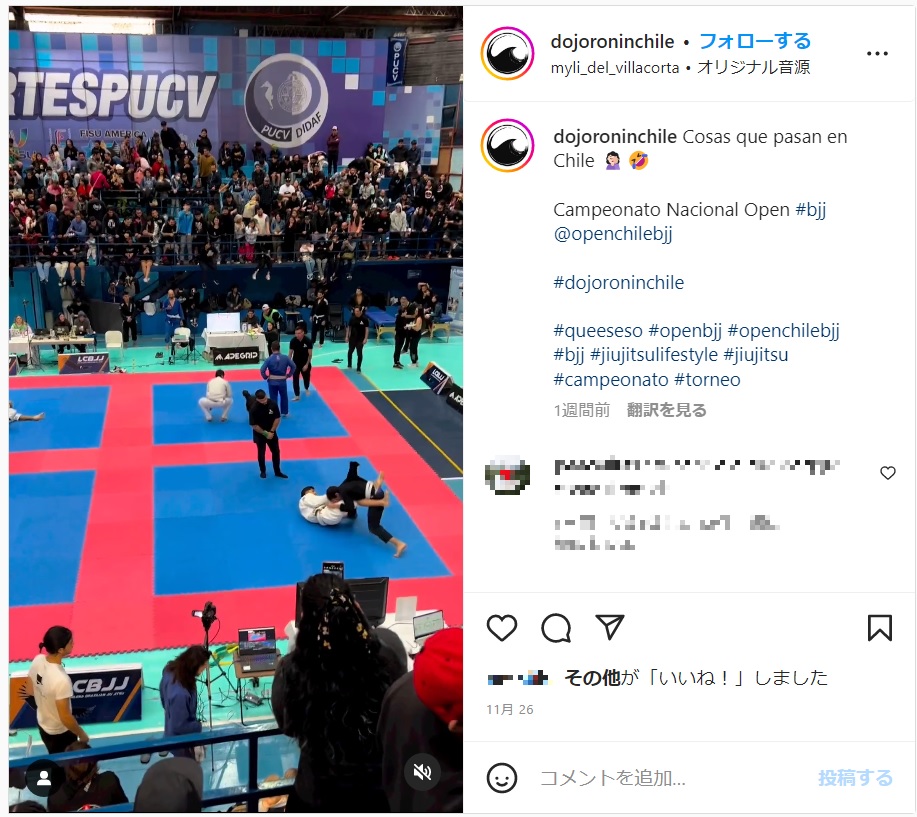 どこからか忍び込んで試合に乱入した犬（画像は『Dojo Ronin　2022年11月26日付Instagram「Cosas que pasan en Chile」』のスクリーンショット）