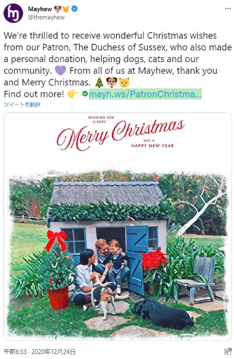 写真をイラスト化した2020年のクリスマスカード（画像は『Mayhew　2020年12月24日付Twitter「We’re thrilled to receive wonderful Christmas wishes」』のスクリーンショット）