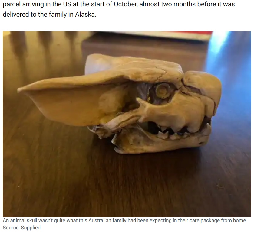 小動物の頭蓋骨らしきものまで入っていた（画像は『SBS　2022年12月24日付「An Australian family was expecting biscuits and lollies in a Christmas parcel. Inside, they found a skull」（Source: Supplied）』のスクリーンショット）