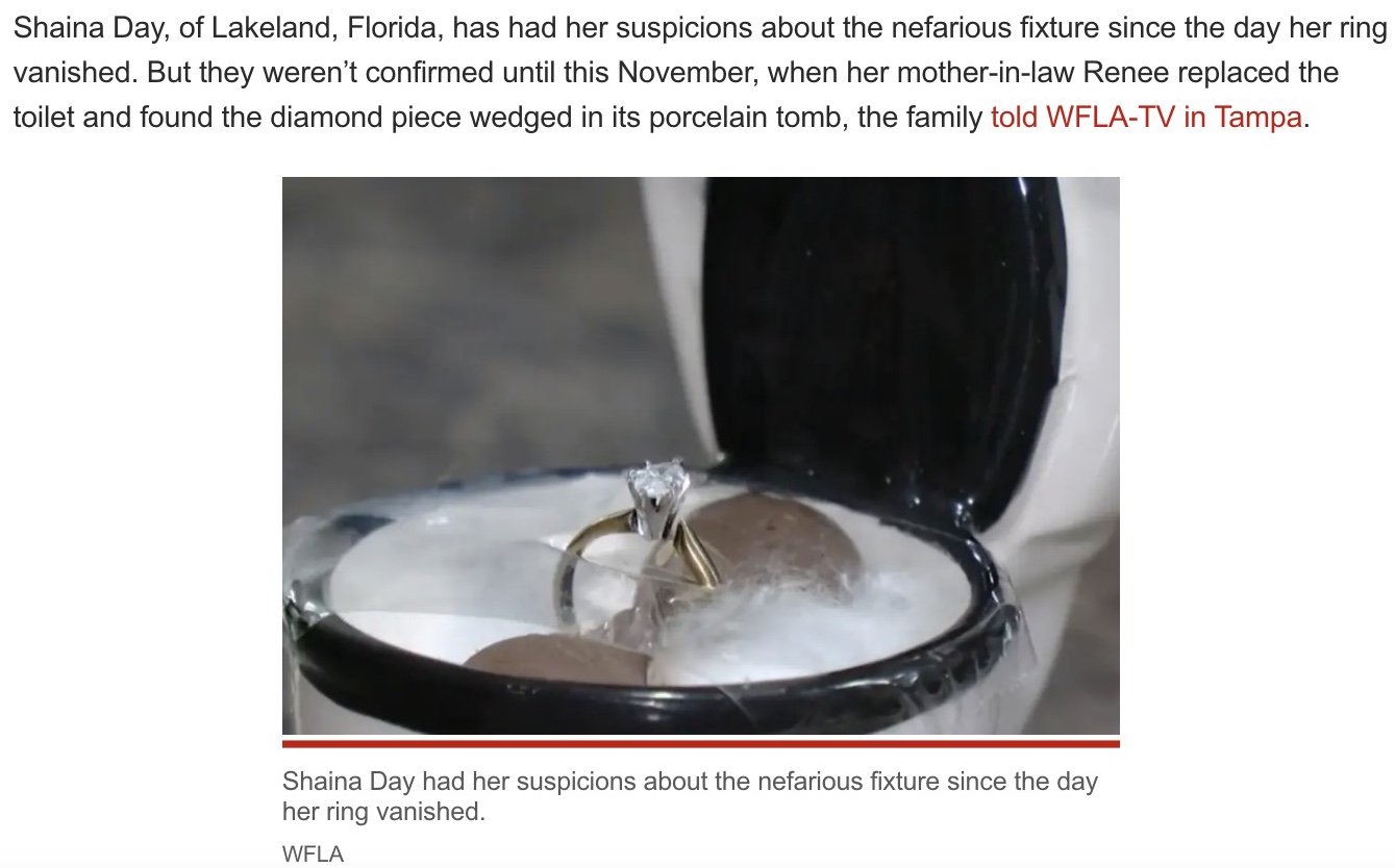 ニックさんがシャイナさんに贈ったダイヤモンドの指輪（画像は『New York Post　2022年12月28日付「Couple find lost diamond engagement ring ― in their toilet ― after 21 years」（WFLA）』のスクリーンショット）