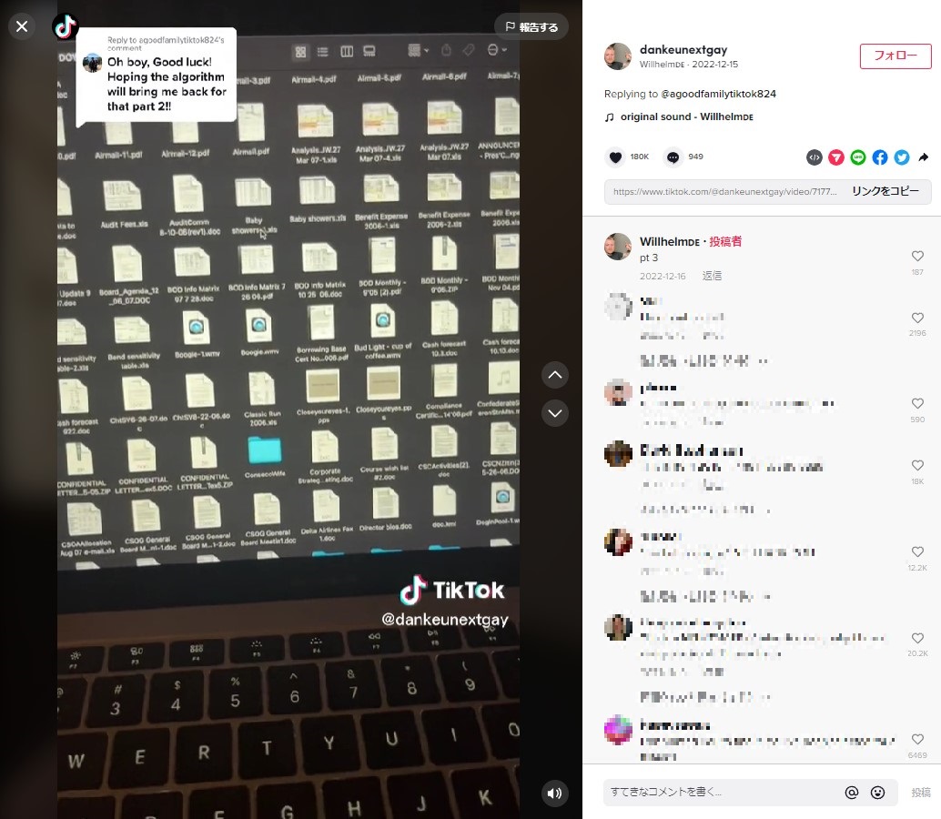 データの中には口座情報やクレジット番号などの個人情報も入っていた（画像は『WillhelmDE　2022年12月14日付TikTok「Replying to ＠agoodfamilytiktok824」』のスクリーンショット）