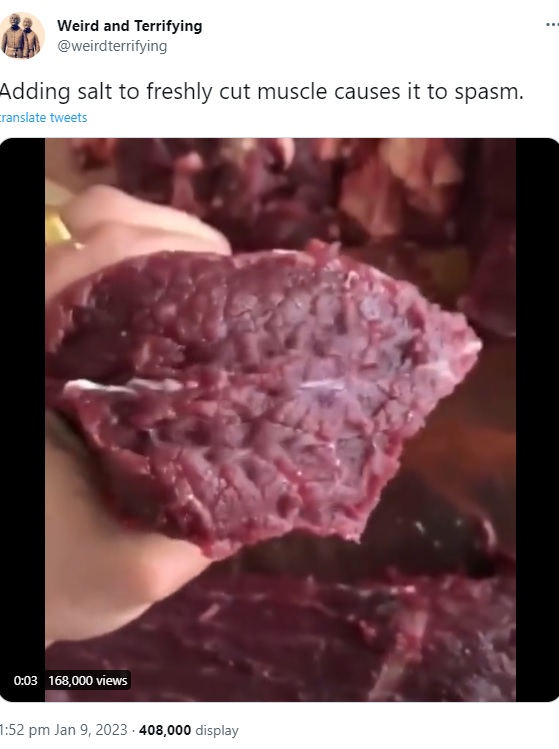 新鮮な牛肉がゾンビ化？（画像は『Weird and Terrifying　2023年1月9日付Twitter「Adding salt to freshly cut muscle causes it to spasm.」』のスクリーンショット）