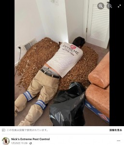 掻き出しても次から次に出てくるドングリ（画像は『Nick’s Extreme Pest Control　2023年1月25日付Facebook「Came across this on a job.」』のスクリーンショット）