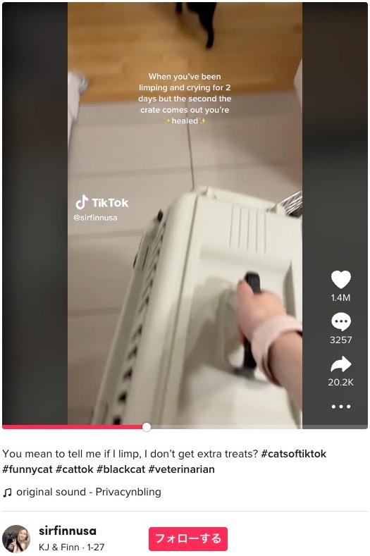 獣医のもとへ連れて行こうとするコートニーさん（画像は『KJ ＆ Finn　2023年1月27日付TikTok「You mean to tell me if I limp, I don’t get extra treats?」』のスクリーンショット）