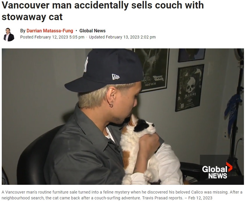 飼い主に再会して甘える猫（画像は『Global News　2023年2月13日付「Vancouver man accidentally sells couch with stowaway cat」』のスクリーンショット）