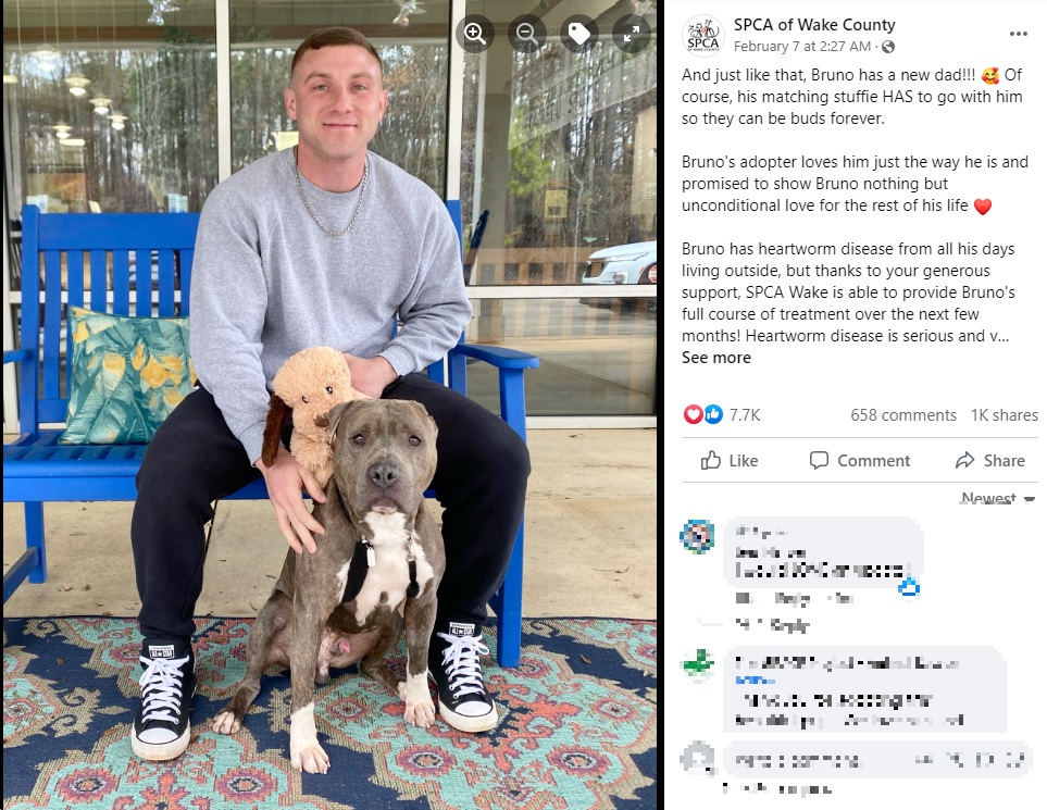 新しい飼い主が見つかったブルーノ（画像は『SPCA of Wake County　2023年2月7日付Facebook「And just like that, Bruno has a new dad!!!」』のスクリーンショット）