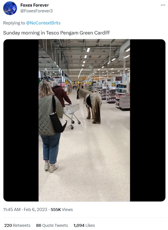 暴れる様子もなく店内を歩くポニー（画像は『Foxes Forever　2023年2月6日付Twitter「Sunday morning in Tesco Pengam Green Cardiff」』のスクリーンショット）