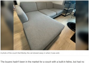 マーリーが潜り込んでいたソファ（画像は『CTV News Vancouver　2023年2月16日付「A Vancouver man who sold his used couch had no idea his cat was hiding inside of it」』のスクリーンショット）