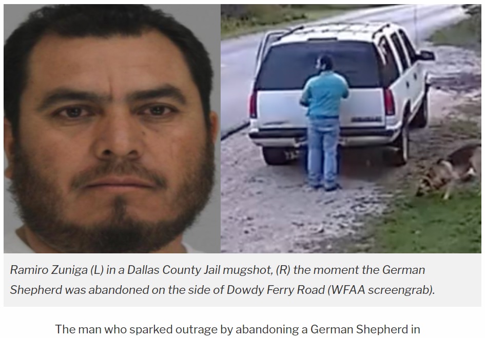 犬を捨てたことを認めたラミロ・スニガ（画像は『Law ＆ Crime　2023年3月14日付「Texas driver who outraged the public by abandoning German Shepherd in broad daylight is illegally in U.S. and under arrest, jail records say」（WFAA screengrab）』のスクリーンショット）