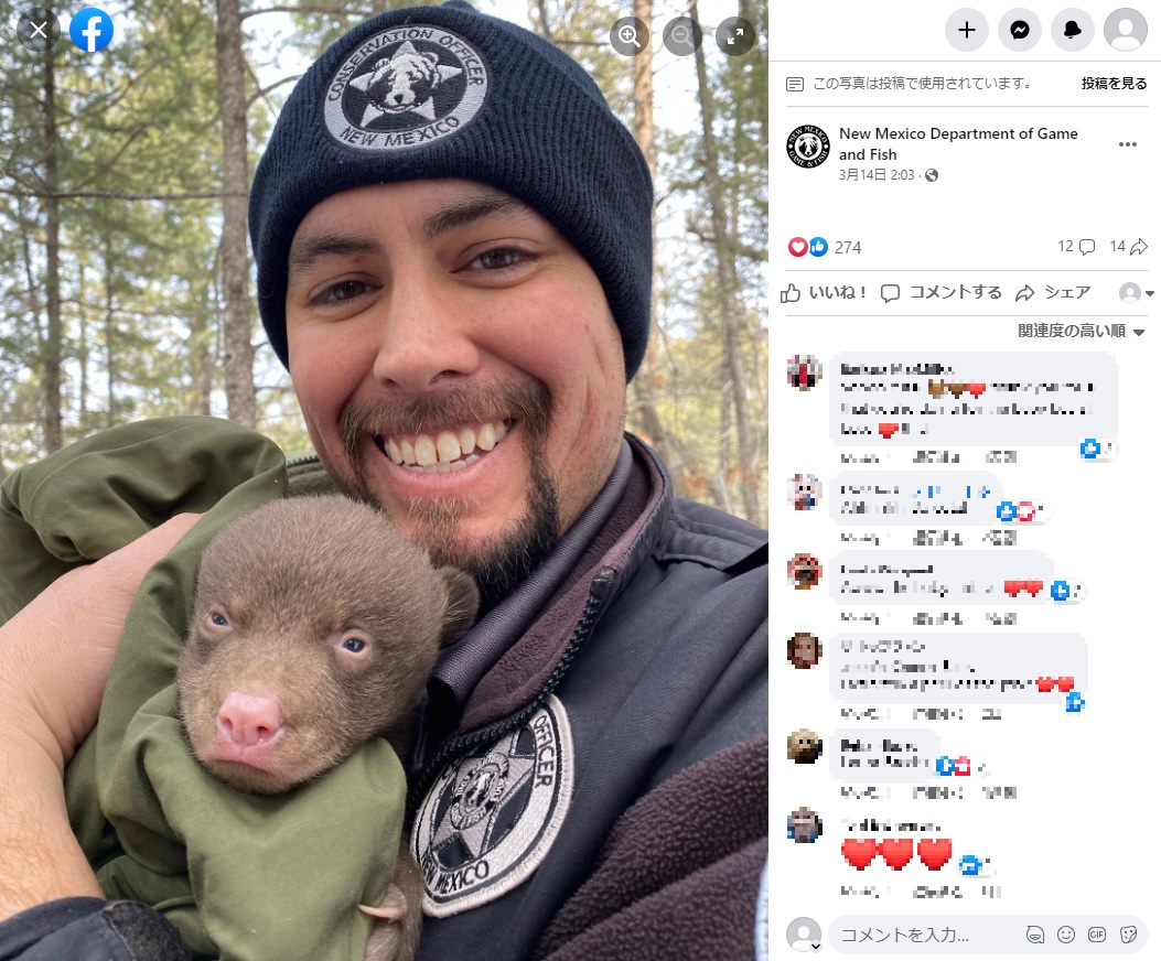 アメリカグマの子供を抱くニューメキシコ州漁業狩猟局のスタッフ。自然保護官の仕事は多岐にわたるが、広報担当者は「クマの行動や個体数について研究しています。より多くの関心と資格のある人に来てもらいたいですね」と語っている（画像は『New Mexico Department of Game and Fish　2023年3月14日付Facebook「Now hiring professional bear huggers.」』のスクリーンショット）