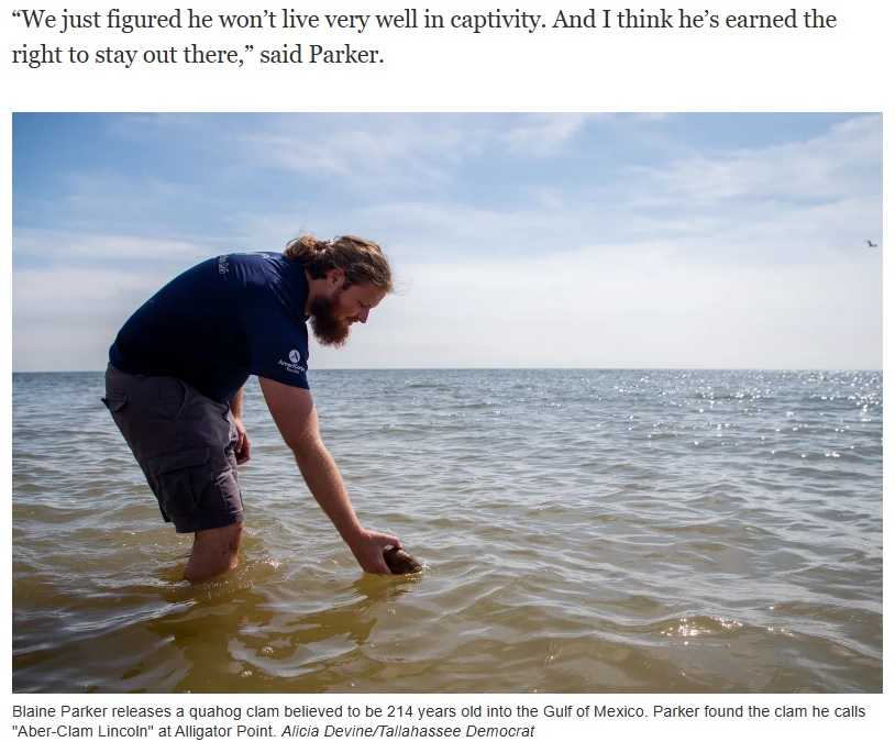 貝は惜しまれながらも海に放たれた（画像は『Tallahassee Democrat　2023年2月26日「Clam believed to be 200+ years old — named 'Aber-clam Lincoln' — found at Alligator Point」（Alicia Devine/Tallahassee Democrat）』のスクリーンショット）