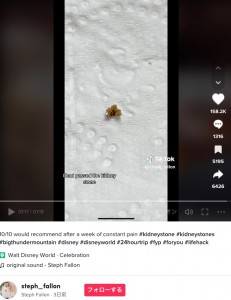 ステファニーさんがビッグサンダー・マウンテンに乗った翌日、自然排出した結石。TikTokユーザーから「救急病院へ行くより安上がりかも」といった声が届く（画像は『Steph Fallon　2023年4月24日付TikTok「10/10 would recommend after a week of constant pain」』のスクリーンショット）