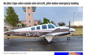 ケープコブラが潜んでいたプロペラ機。エラスムスさんは「間違いなく私のパイロット人生で初めての経験です。これに対処するための訓練など存在しません」と振り返っている（画像は『Cape Town ETC　2023年4月4日付「No joke: Cape cobra sneaks onto aircraft, pilot makes emergency landing」』のスクリーンショット）