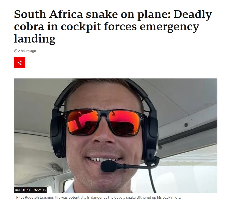 小さなプロペラ機のコックピット内にケープコブラが潜んでいることに気付き、乗客に状況を伝え、安全に緊急着陸することができたパイロット。彼の冷静さと迅速な行動は、航空業界の専門家から高く評価されている（画像は『BBC　2023年4月5日付「South Africa snake on plane: Deadly cobra in cockpit forces emergency landing」』のスクリーンショット）