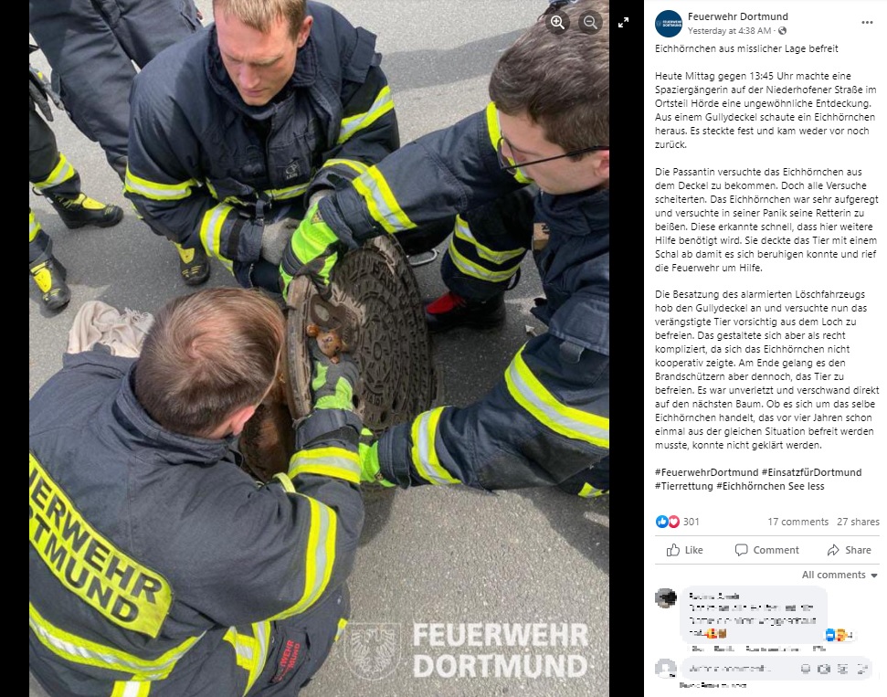 ドルトムント消防署のFacebookに投稿された写真。消防士らは分厚いゴムの手袋をはめて3人がかりで対応、その表情は真剣そのもの。近くには発見者の女性がリスにかけてあげたと思われるスカーフが見て取れる（画像は『Feuerwehr Dortmund　2023年4月11日付Facebook「Eichhörnchen aus misslicher Lage befreit」』のスクリーンショット）
