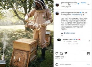 養蜂用のヘルメットと防護服に身を包み、ミツバチの巣箱の前に立つキャサリン皇太子妃。笑顔を浮かべながら、ミツバチが群れるボードを持っている（画像は『The Prince and Princess of Wales　2023年5月20日付Instagram「We are buzzing about ＃WorldBeeDay」』のスクリーンショット）