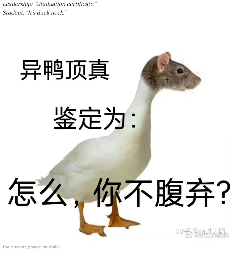 アヒルの頭をネズミと入れ替えた写真を投稿する者まで現れ、SNSは大炎上！　「間違っているのに権力によって無理に押し通す」という意味を持つ「鹿を指して馬と為す（指鹿為馬）」という故事成語を「指鼠為鴨」ともじる人も（画像は『What’s on Weibo　2023年6月7日付「“Calling a Rat a Duck”: Jiangxi Students Discover Rat Head in Meal, School Insists It’s Duck」（posted on Zhihu）』のスクリーンショット）