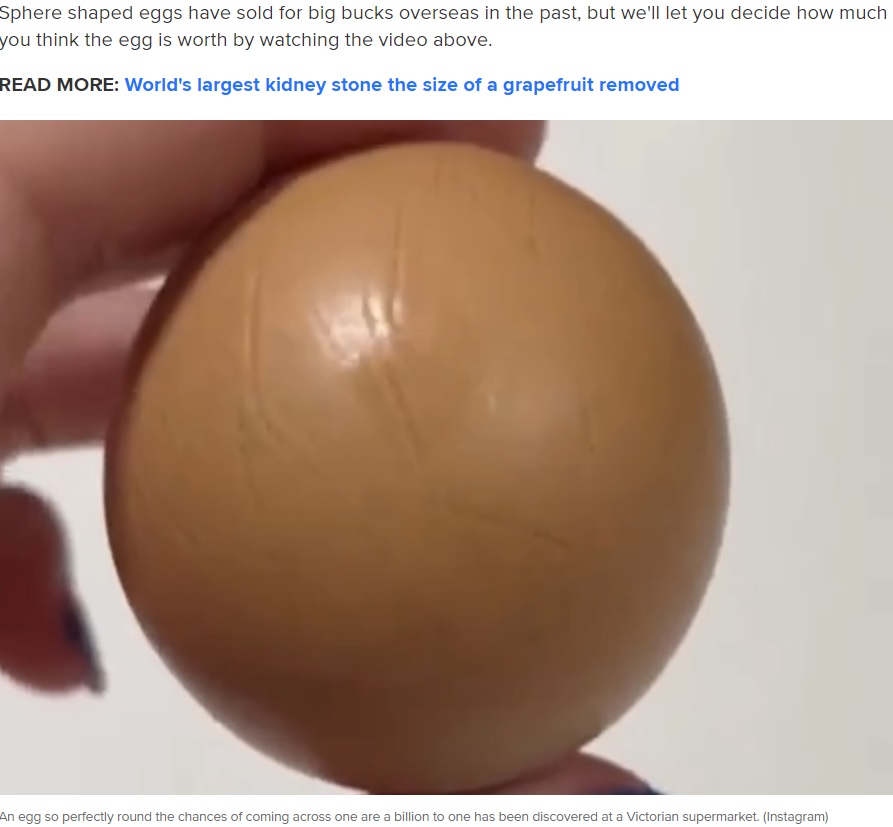 10億個に1個の確率の完璧に丸い鶏の卵。オーストラリア南東部ビクトリア州メルボルンのスーパー「ウールワース」で購入したという（画像は『9News　2023年6月16日付「‘One-in-a-billion’: Perfectly round egg discovered at Aussie supermarket」（Instagram）』のスクリーンショット）
