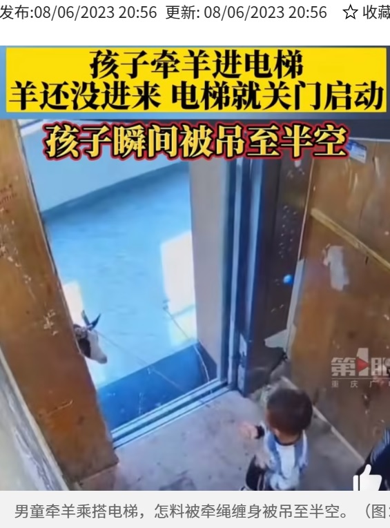 リードをつけたヤギを連れた四川省成都市の男児。アパートのエレベーターに先に乗り込むも、ヤギが乗る前にドアが閉まり悲劇が起きた（画像は『8world　2023年6月8日付「四川男童牵羊搭电梯 被绳子吊至半空」（图：微博/重庆广电-第1眼）』のスクリーンショット）