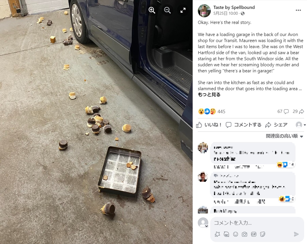 クマによってカップケーキ60個がダメになってしまう。車の横にもいくつかカップケーキがこぼれ落ちていた（画像は『Taste by Spellbound　2023年5月25日付Facebook「Okay. Here’s the real story.」』のスクリーンショット）