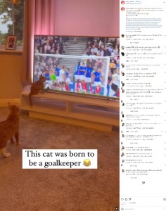 テレビ台の上で、キッカーが蹴るのを待つ子猫。後ろで見守るのは母猫のようでもあるが、子猫はボールに集中し、蹴られたボールに体を伸ばすと前足でボールを叩いた（画像は『Kitten memes | Cat page　2023年4月13日付Instagram「Meanwhile the goalkeeper caught it just once」』のスクリーンショット）