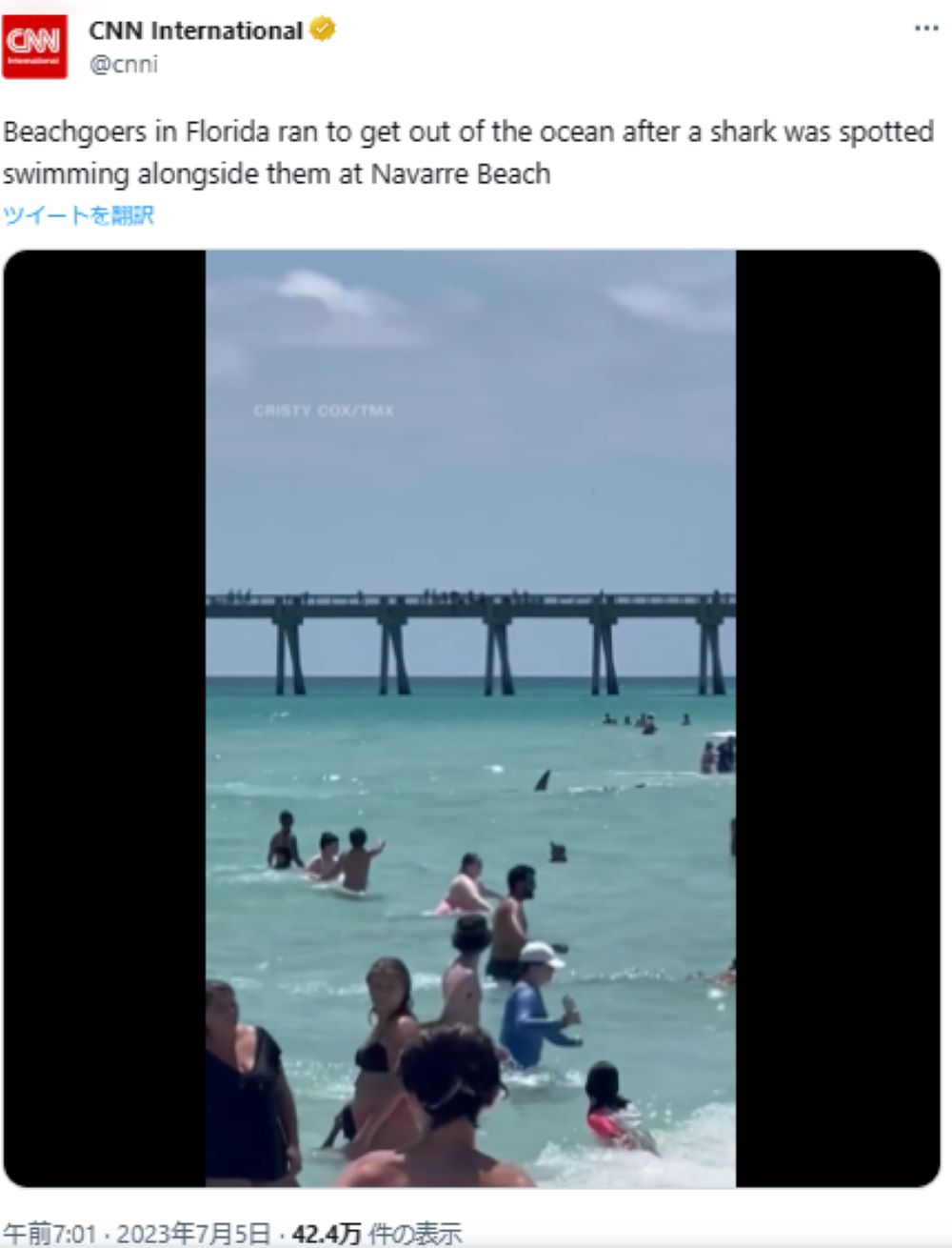 画面の中央には、海水客の間を縫うようにして泳いでいるサメの背びれが。サメは餌の小魚を追って、波打ち際までやってきたが、海で戯れる人間のことは気に留めていないようだ（画像は『CNN International　2023年7月5日付Twitter「Beachgoers in Florida ran to get out of the ocean after a shark was spotted swimming alongside them at Navarre Beach」』のスクリーンショット）