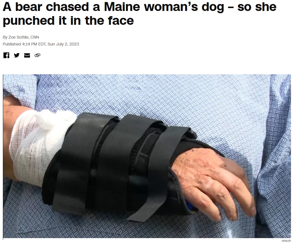 クマから逃げられないと察した女性は、大きな声を出してクマを怖がらせようとしたが上手くいかなかった。最終的に右手にケガを負ってしまったが、愛犬は無傷だった（画像は『CNN　2023年7月2日付「A bear chased a Maine woman’s dog – so she punched it in the face」（WMUR）』のスクリーンショット）