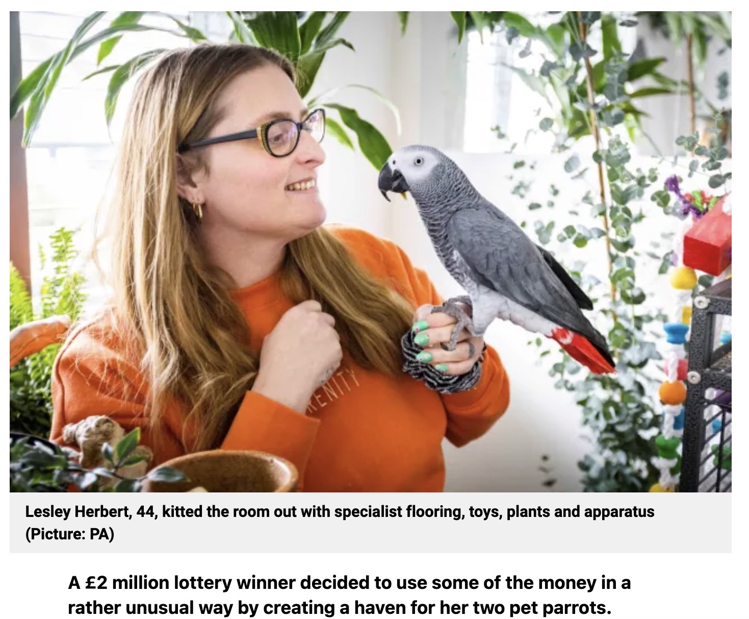 飼っていたオウムの医療費の支払いに苦労していた女性。不安を紛らわせるために購入したスクラッチカードくじで高額当選し、オウムのための“楽園”を作ることに（画像は『Metro　2023年8月1日付「Mum who won ￡2,000,000 on lottery builds haven for TV-loving parrots」（Picture: PA）』のスクリーンショット）