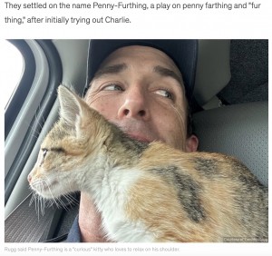 “ペニー・ファーシング”と名付けられた子猫は、肩の上でくつろぐのが大好きで好奇心旺盛だという（画像は『Good Morning America　2023年8月3日付「Police officer to adopt kitten who was thrown out of car window」（Courtesy of Timothy Rugg）』のスクリーンショット）