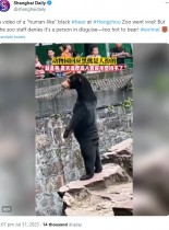 【海外発！Breaking News】臀部のたるみに注目！　中国の動物園で「着ぐるみでは？」と偽グマ疑惑浮上＜動画あり＞